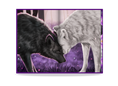 Load image into Gallery viewer, PREORDER: Raven Point Pack: The Complete Collection